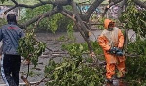 bpbd-surabaya-hujan-es-pohon-tumbang.jpg bpbd surabaya hujan es pohon tumbang