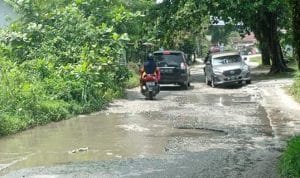 jalan sekuntum rusak pku