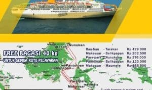 rute kapal pelni lambelu e1594883463541