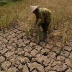 79 wilayah indonesia masuk musim kemarau ini rinciannya hsa
