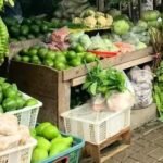 WhatsApp Image 2024 06 24 at 13.54.20