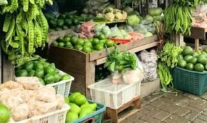 WhatsApp Image 2024 06 24 at 13.54.20