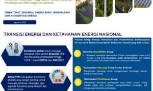 1721160637 1721160637