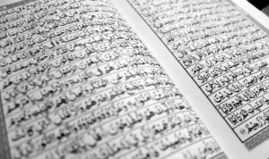 2042002133.jpg 2042002133