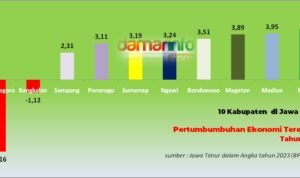 WhatsApp Image 2023 02 28 at 03.57.03