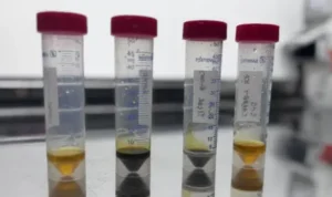 f5d699a0 bc8c 11ef aa02 e39a307484ab.jpg