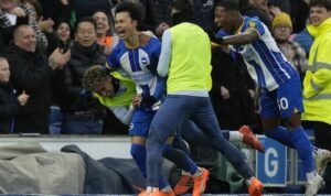 libraryupload21202301645x430kaoru mitoma brighto f3d5c9a