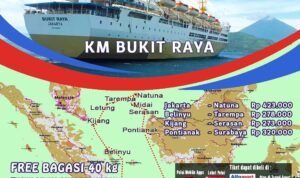 rute kapal pelni bukit raya