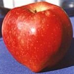 120px Red Delicious