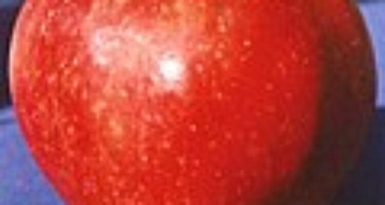120px Red Delicious