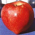 120px Red Delicious