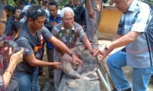 komodo surabaya