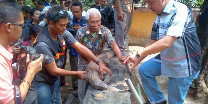 komodo surabaya